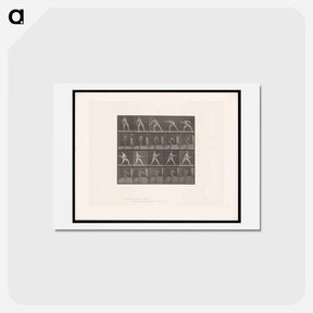 アートポストカード-Man Throwing Ball
 - エドワード マイブリッジ Postcard.