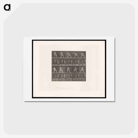 アートポストカード-Man Throwing Ball
 - エドワード マイブリッジ Postcard.