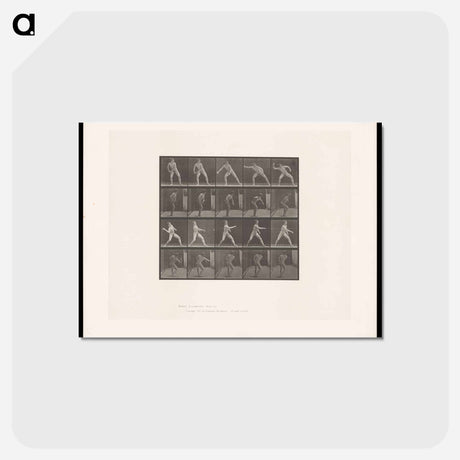 アートポストカード-Man Throwing Ball
 - エドワード マイブリッジ Postcard.