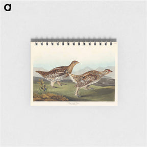 アートメモ帳-Sharp-tailed Grouse
 - ジョン ジェームス オーデュボン Memo.