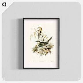 アートポスター-Brown Songlark
 - オーストラリアの鳥 Poster.