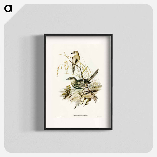 アートポスター-Brown Songlark
 - オーストラリアの鳥 Poster.