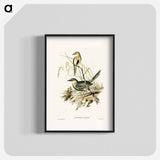 Brown Songlark
 - オーストラリアの鳥 Poster.