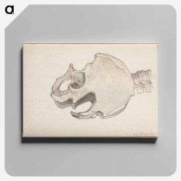 (unknown) part of a sketchbook - アルバート エーデルフェルト Canvas.