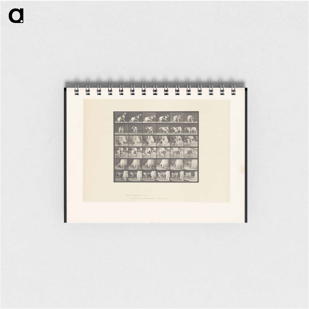 アートメモ帳-Turning Dog
 - エドワード マイブリッジ Memo.