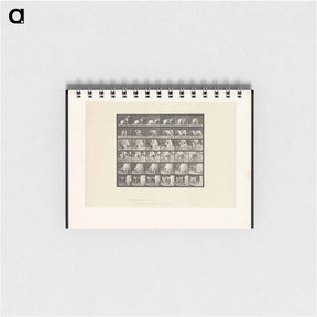 アートメモ帳-Turning Dog
 - エドワード マイブリッジ Memo.