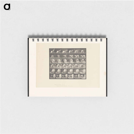 アートメモ帳-Turning Dog
 - エドワード マイブリッジ Memo.