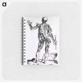 アートメモ帳-Musculature of the Human Body
 - 国立医学図書館 Memo.