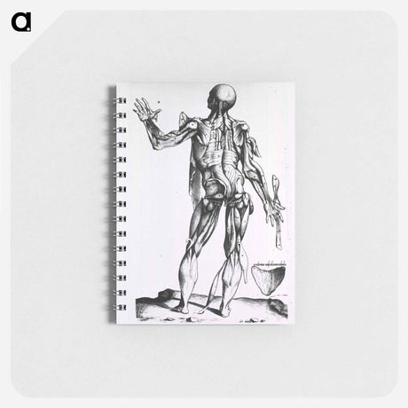 アートメモ帳-Musculature of the Human Body
 - 国立医学図書館 Memo.