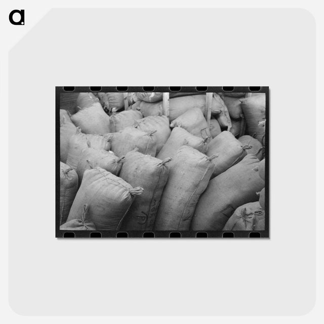 アートポストカード-Mohair Storage
 - ラッセル リー Postcard.