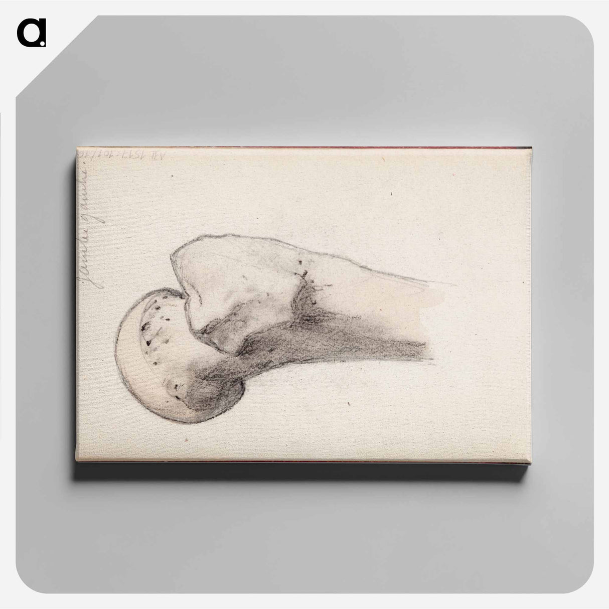 (unknown) part of a sketchbook - アルバート エーデルフェルト Canvas.