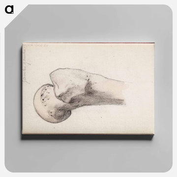 (unknown) part of a sketchbook - アルバート エーデルフェルト Canvas.