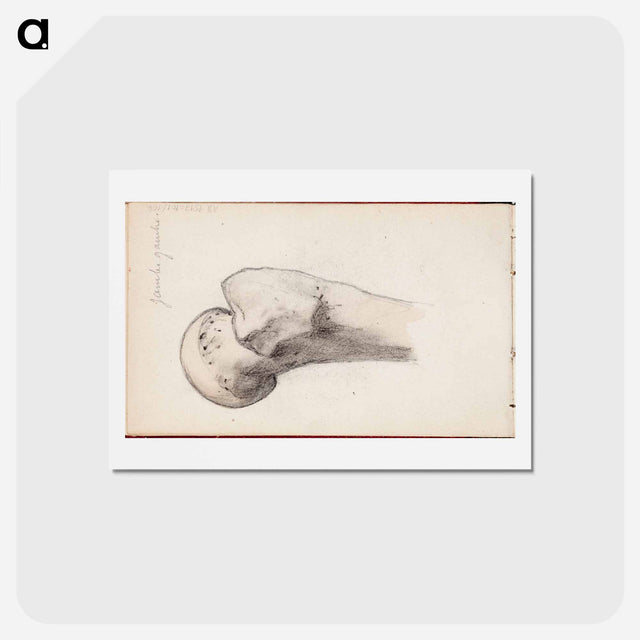 アートポストカード-(unknown) part of a sketchbook - アルバート エーデルフェルト Postcard.