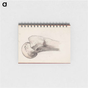 アートメモ帳-(unknown) part of a sketchbook - アルバート エーデルフェルト Memo.
