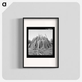 アートポスター-Piles of wood for firing the tobacco barns and curing the tobacco - ドロテア ラング Poster.