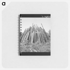 アートメモ帳-Piles of wood for firing the tobacco barns and curing the tobacco - ドロテア ラング Memo.