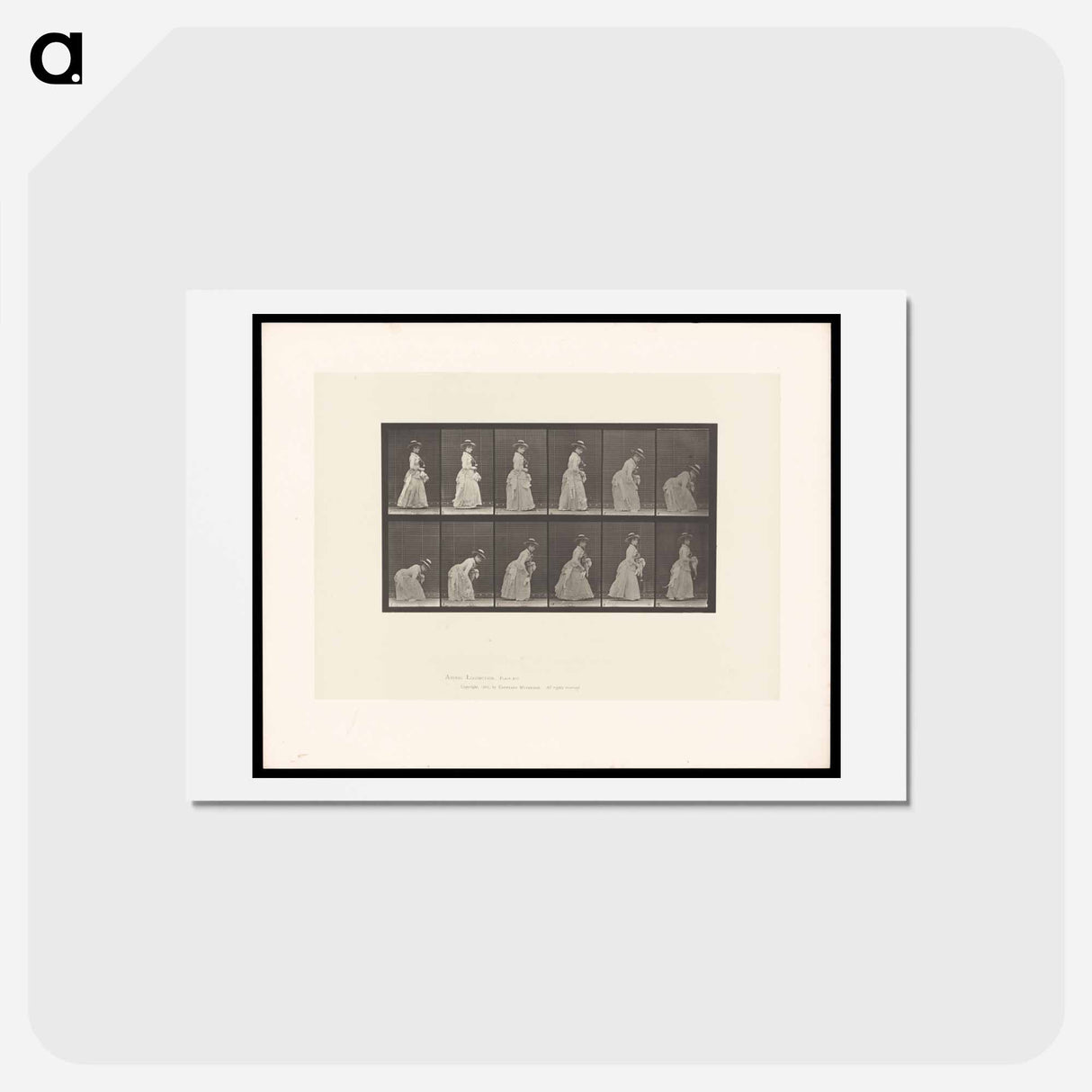 アートポストカード-The Dropped Handkerchief
 - エドワード マイブリッジ Postcard.