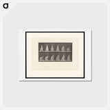 アートポストカード-The Dropped Handkerchief
 - エドワード マイブリッジ Postcard.