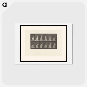 アートポストカード-The Dropped Handkerchief
 - エドワード マイブリッジ Postcard.