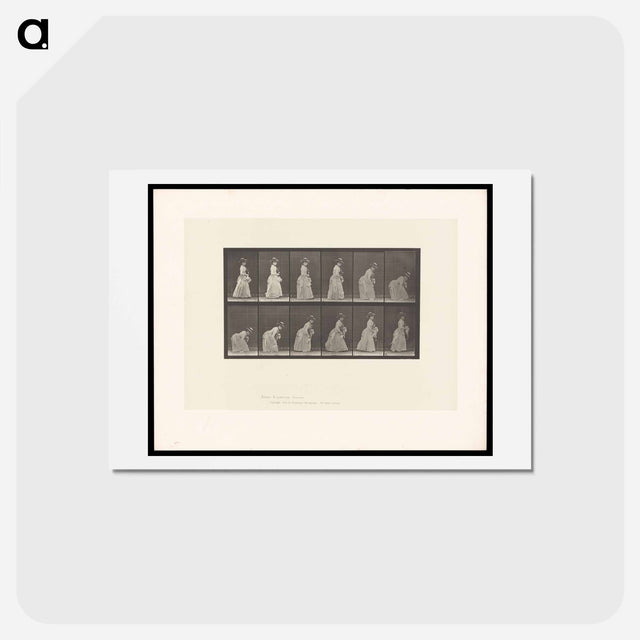 アートポストカード-The Dropped Handkerchief
 - エドワード マイブリッジ Postcard.