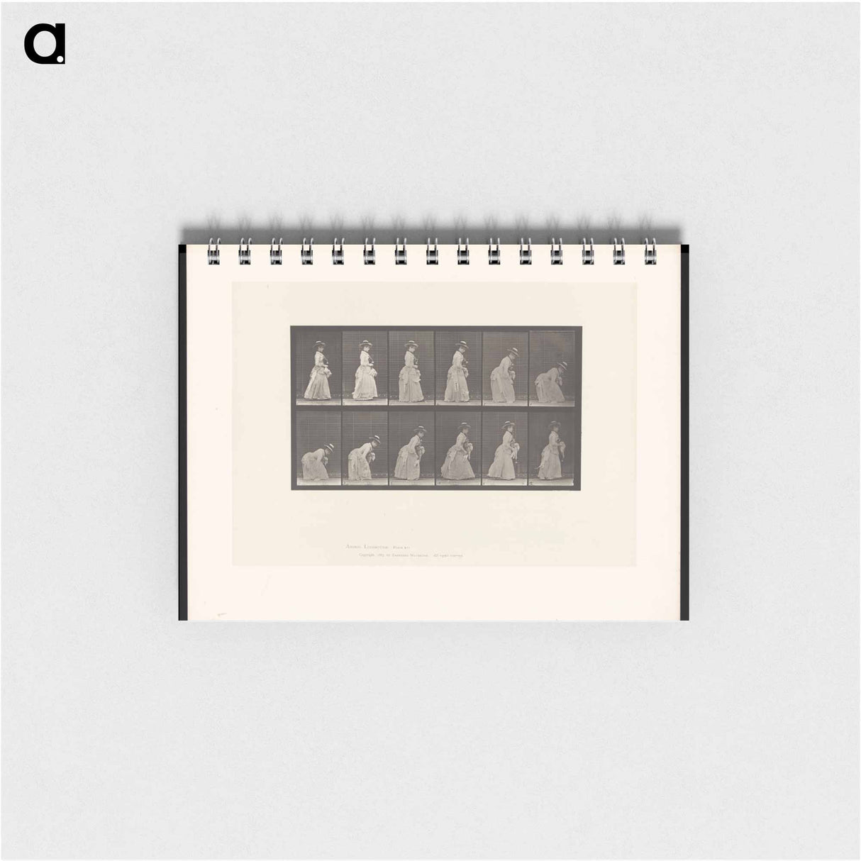 アートメモ帳-The Dropped Handkerchief
 - エドワード マイブリッジ Memo.