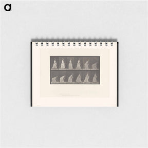 アートメモ帳-The Dropped Handkerchief
 - エドワード マイブリッジ Memo.