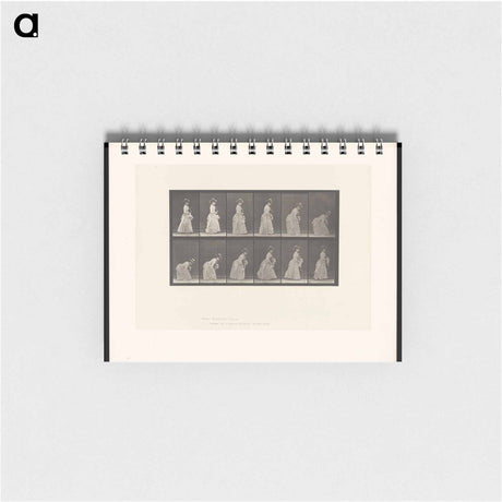アートメモ帳-The Dropped Handkerchief
 - エドワード マイブリッジ Memo.