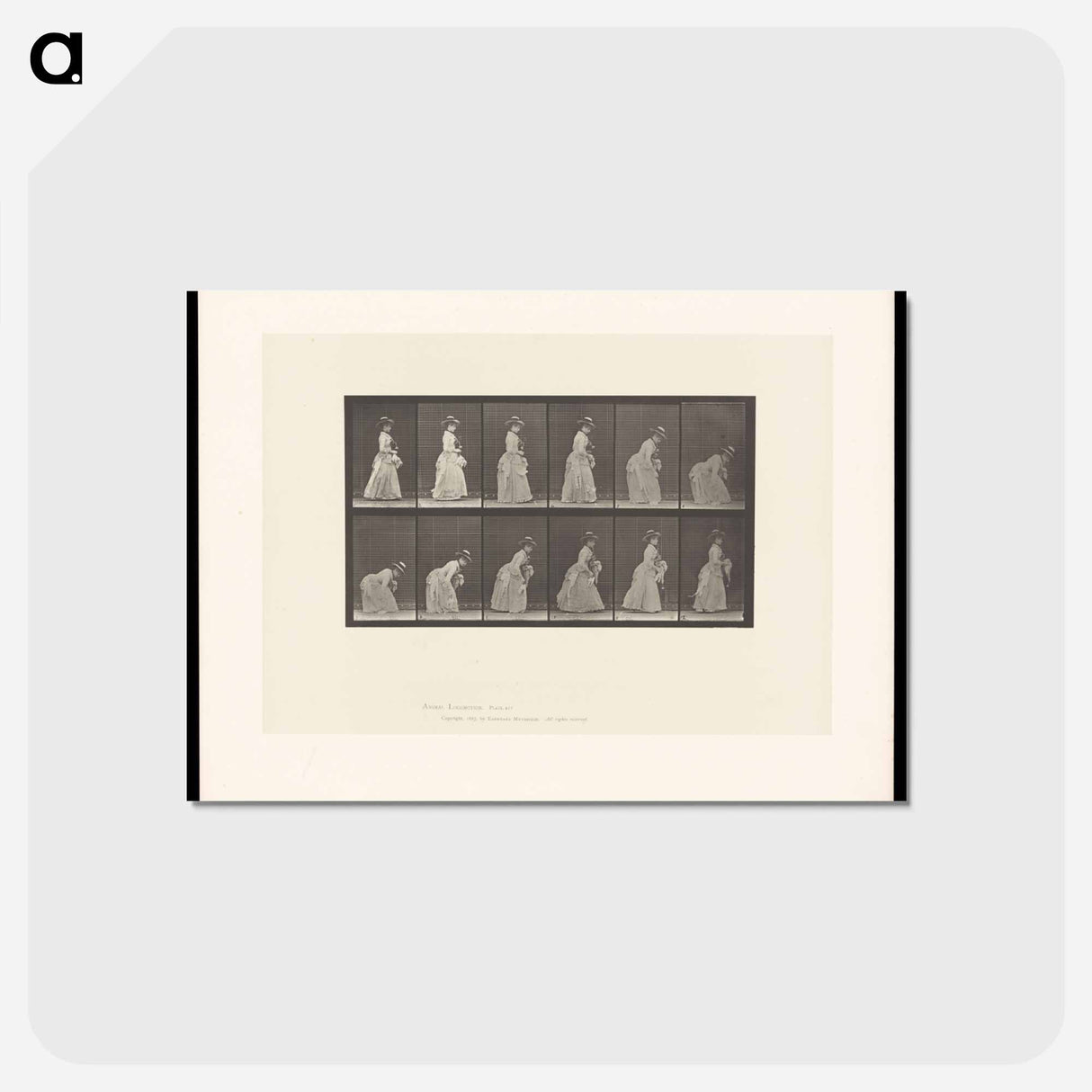 アートポストカード-The Dropped Handkerchief
 - エドワード マイブリッジ Postcard.