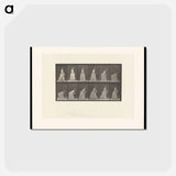 アートポストカード-The Dropped Handkerchief
 - エドワード マイブリッジ Postcard.