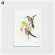 アートポストカード-Lunulated Wattle Bird
 - ジョン グールド Postcard.