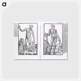 アートポストカード-Muscle Plates
 - 国立医学図書館 Postcard.