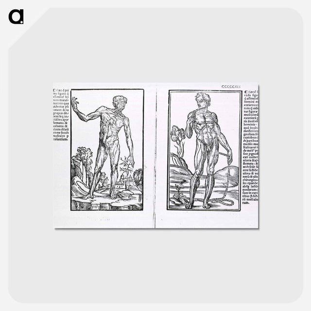 アートポストカード-Muscle Plates
 - 国立医学図書館 Postcard.