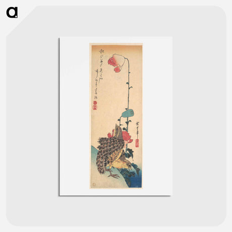 アートポストカード-A Pair of Quails and Poppies
 - 歌川 広重 Postcard.
