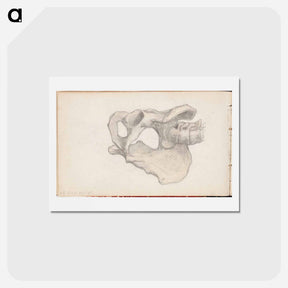アートポストカード-(unknown) part of a sketchbook - アルバート エーデルフェルト Postcard.