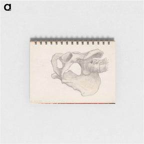 アートメモ帳-(unknown) part of a sketchbook - アルバート エーデルフェルト Memo.
