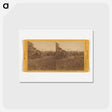 アートポストカード-State University Berkeley, West Front
 - エドワード マイブリッジ Postcard.