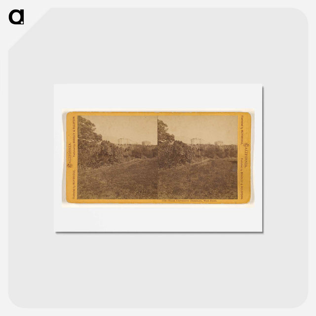 アートポストカード-State University Berkeley, West Front
 - エドワード マイブリッジ Postcard.