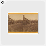 アートポストカード-State University Berkeley, West Front
 - エドワード マイブリッジ Postcard.