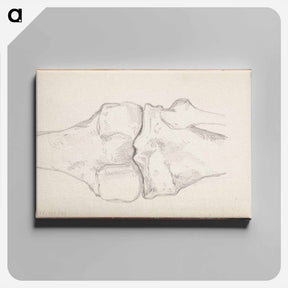 アートパネル-(unknown) part of a sketchbook - アルバート エーデルフェルト Canvas.