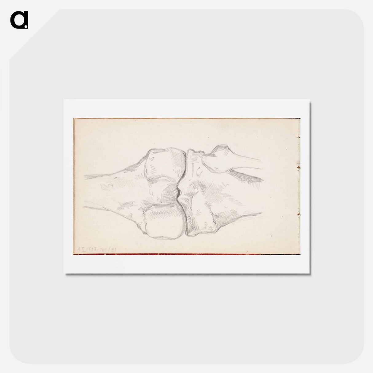 アートポストカード-(unknown) part of a sketchbook - アルバート エーデルフェルト Postcard.