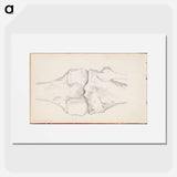 (unknown) part of a sketchbook - アルバート エーデルフェルト Poster.
