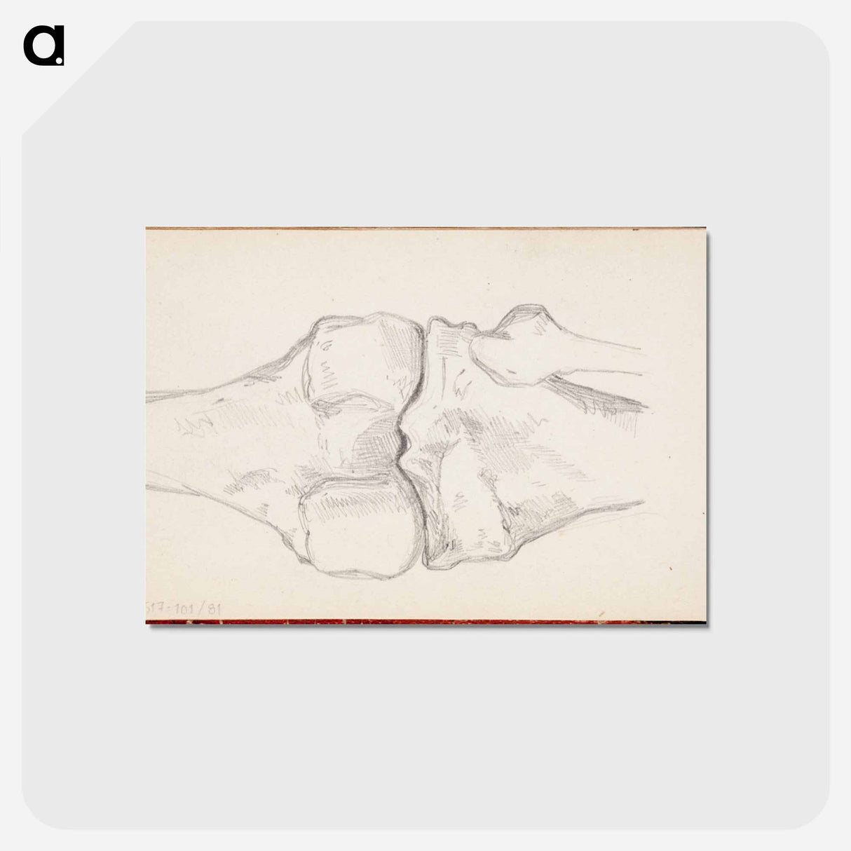 アートポストカード-(unknown) part of a sketchbook - アルバート エーデルフェルト Postcard.
