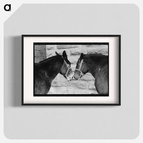 アートポスター-Mules, Brownwood, Texas
 - ラッセル リー Poster.
