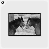 アートポストカード-Mules, Brownwood, Texas
 - ラッセル リー Postcard.