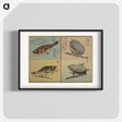 アートポスター-Picture Book for the Practice of Drawing Fish
 - 歌川 広重 Poster.