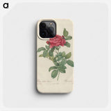 Rose illustration - Pierre Joseph Redouté Phone Case.