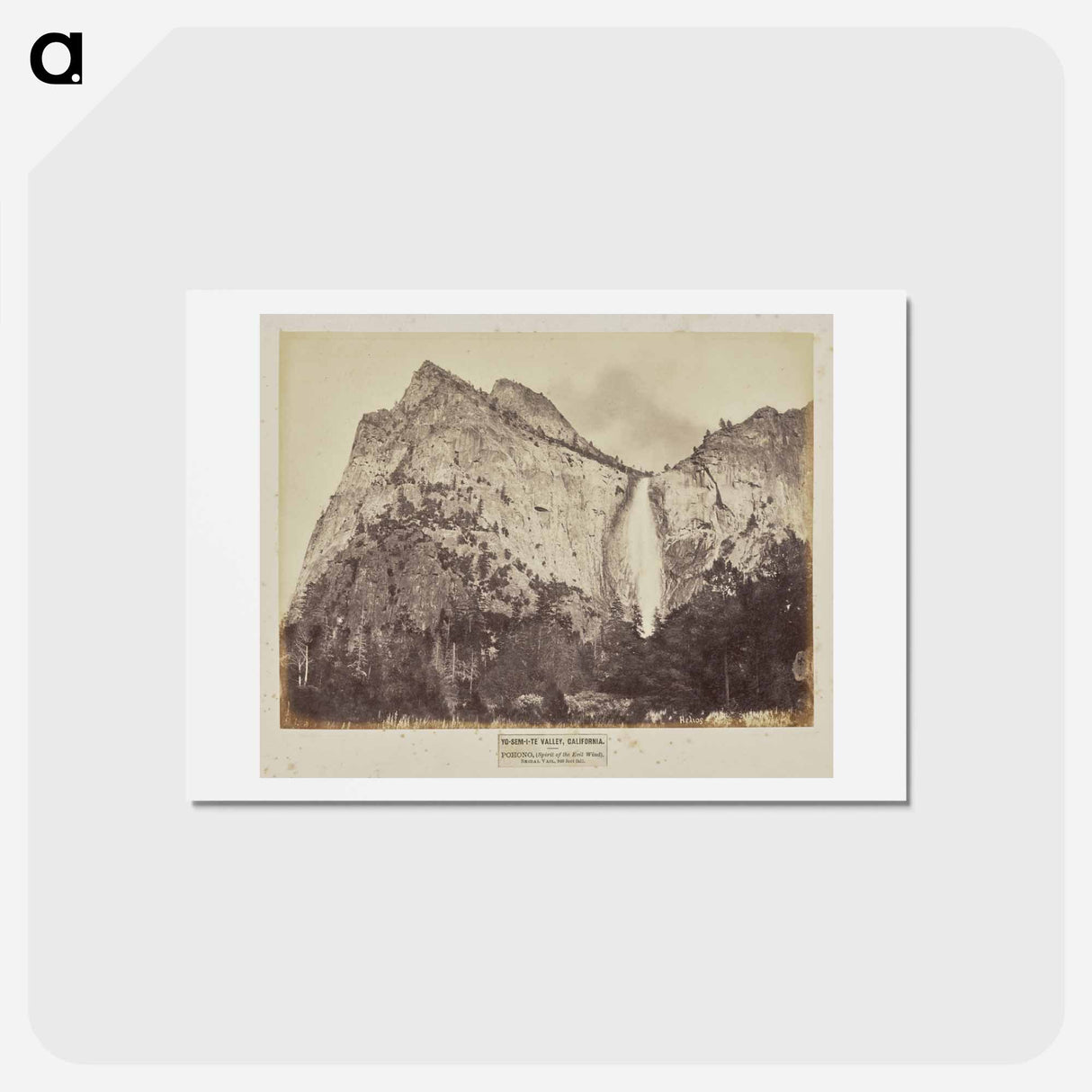 アートポストカード-Yo-Sem-i-te Valley, California
 - エドワード マイブリッジ Postcard.