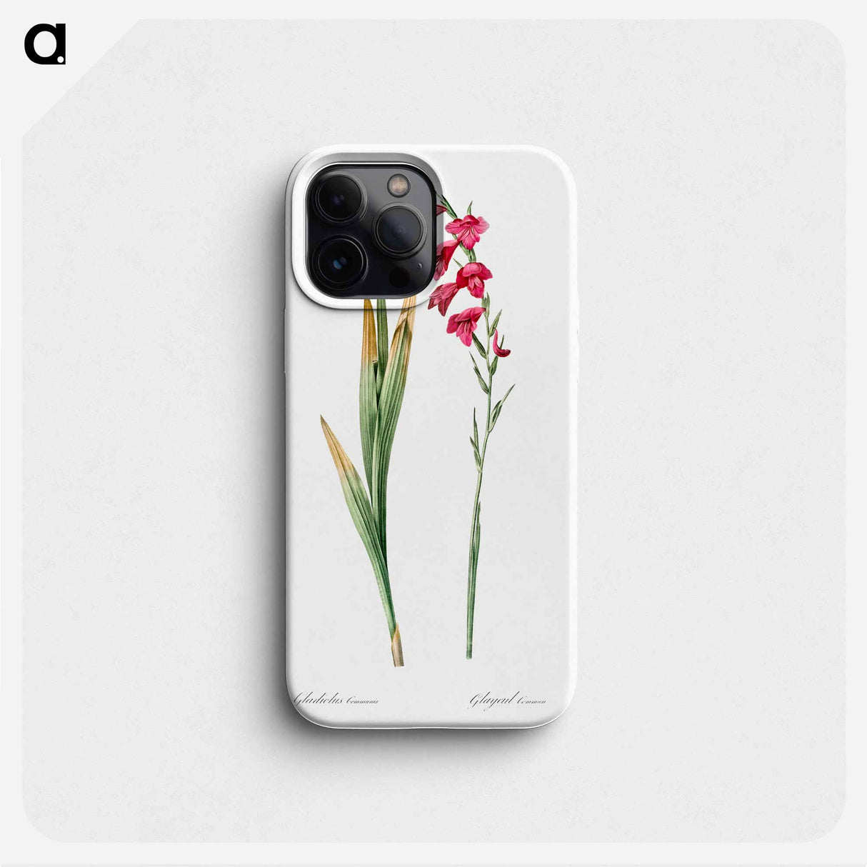 Eastern gladiolus - Pierre Joseph Redouté Phone Case.