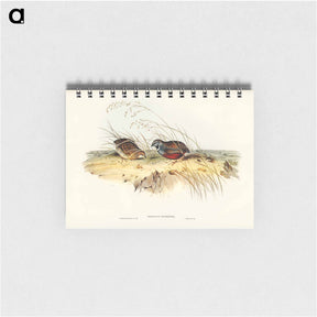 アートメモ帳-Chinese Quail
 - ジョン グールド Memo.