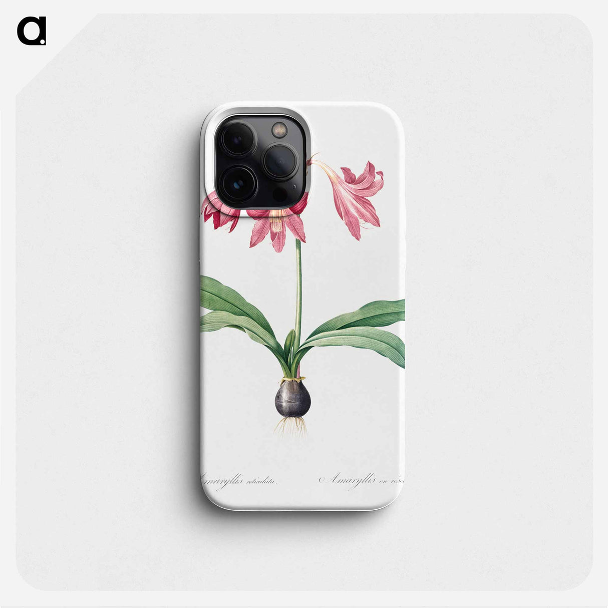 Netted-veined amaryllis illustration - ピエール ジョゼフ ルドゥーテ Phone Case.